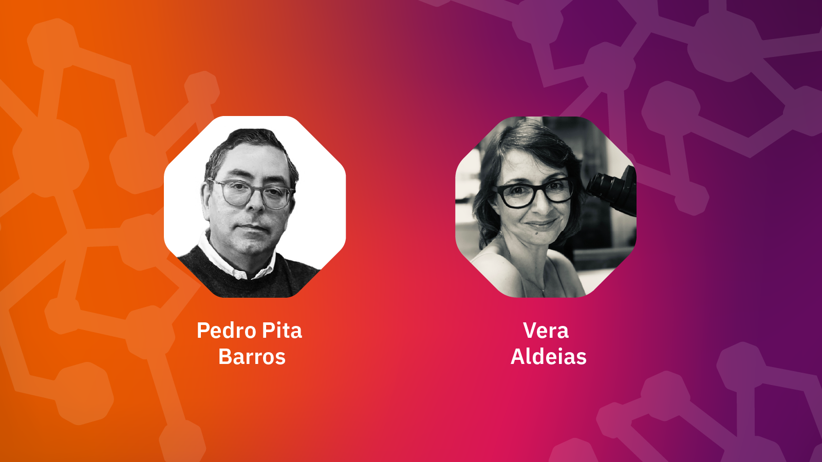 Composição fotográfica com as fotos de Pedro Pita Barros e Vera Aldeias