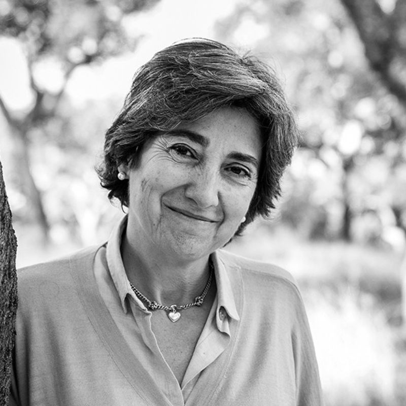 Teresa Pinto Correia