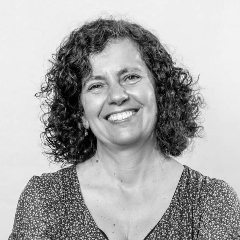 Teresa Lino-Neto